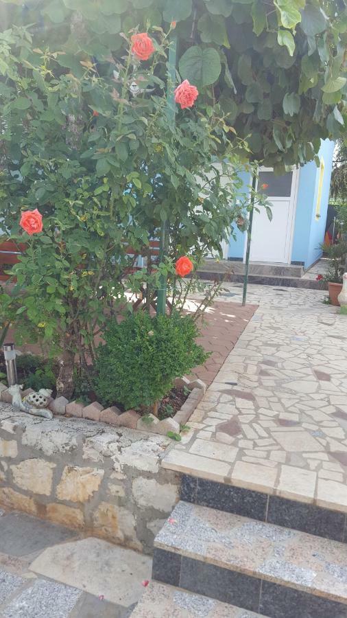 Ljubic * Tar-Vabriga